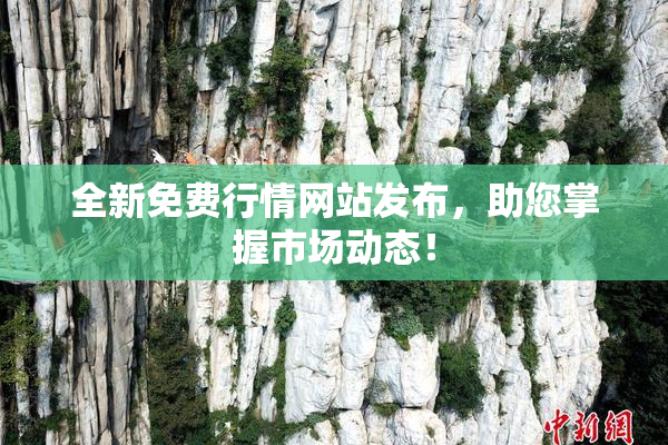 全新免费行情网站发布，助您掌握市场动态！