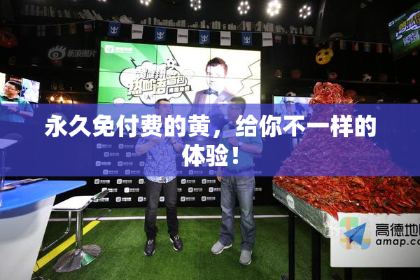 永久免付费的黄，给你不一样的体验！