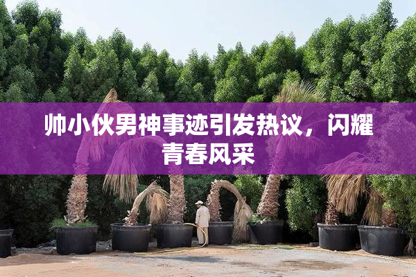 帅小伙男神事迹引发热议，闪耀青春风采
