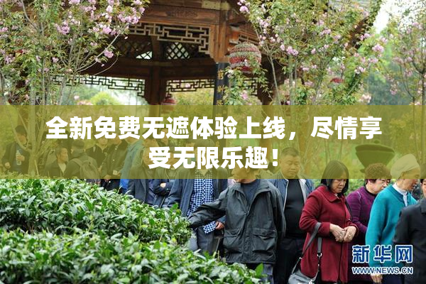 全新免费无遮体验上线，尽情享受无限乐趣！