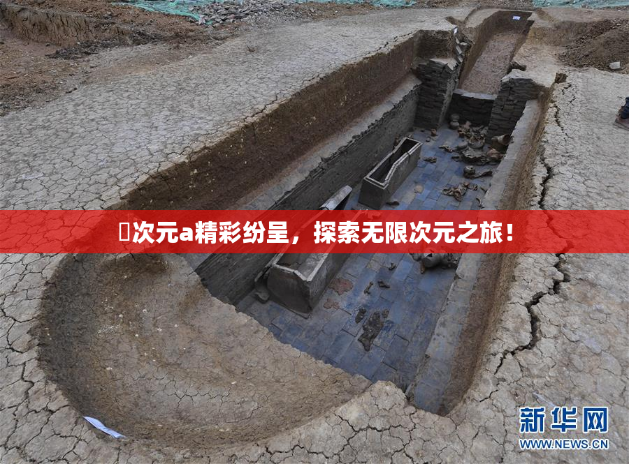 囧次元a精彩纷呈，探索无限次元之旅！