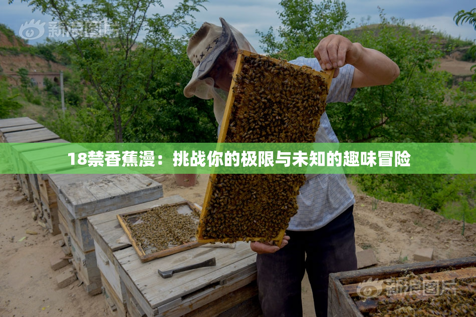 18禁香蕉漫：挑战你的极限与未知的趣味冒险