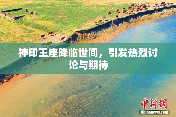 神印王座降临世间，引发热烈讨论与期待