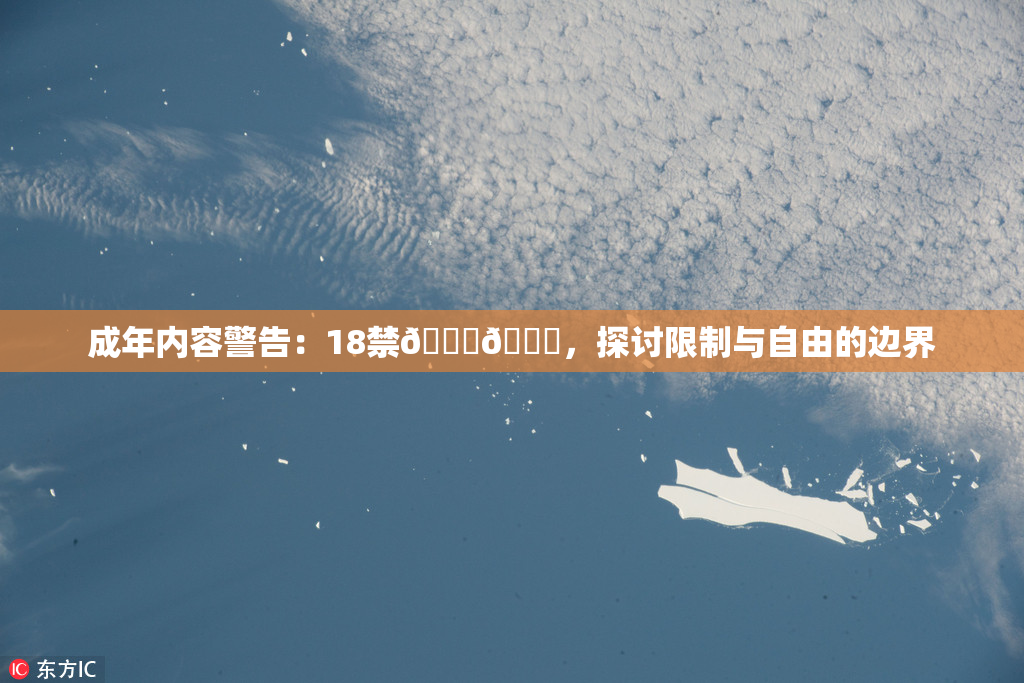 成年内容警告：18禁🍆🍑，探讨限制与自由的边界