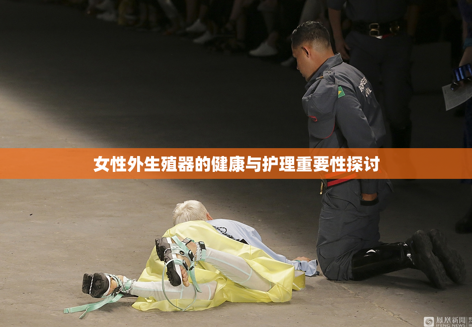 女性外生殖器的健康与护理重要性探讨