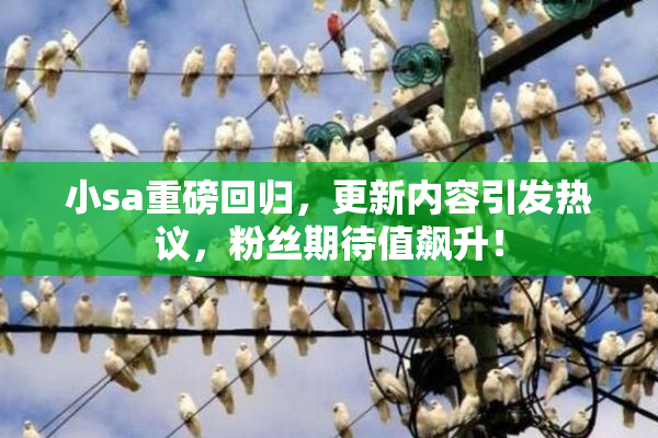 小sa重磅回归，更新内容引发热议，粉丝期待值飙升！