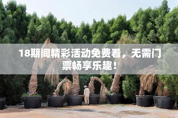 18期间精彩活动免费看，无需门票畅享乐趣！
