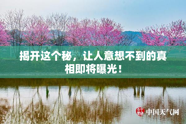 揭开这个秘，让人意想不到的真相即将曝光！