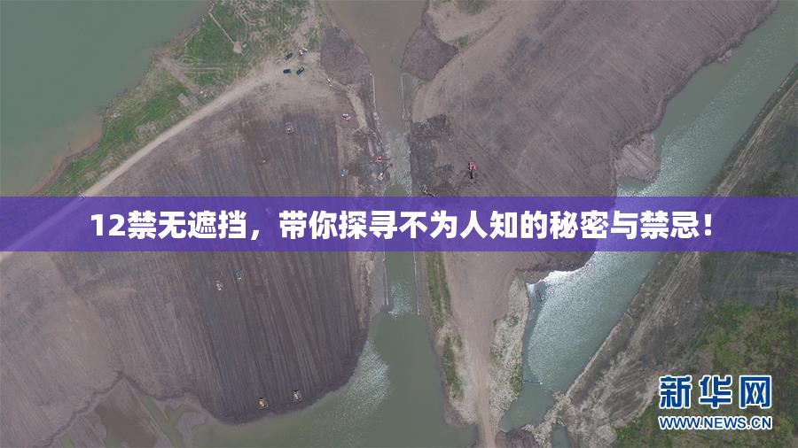 12禁无遮挡，带你探寻不为人知的秘密与禁忌！