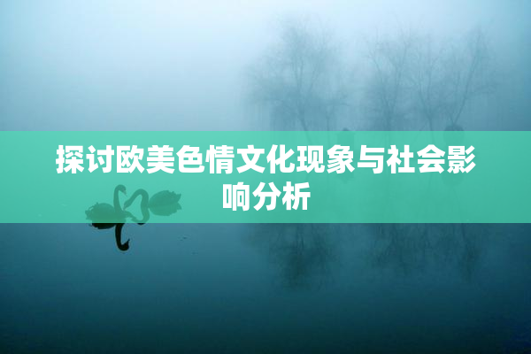 探讨欧美色情文化现象与社会影响分析
