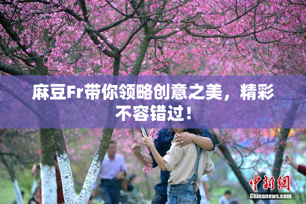 麻豆Fr带你领略创意之美，精彩不容错过！