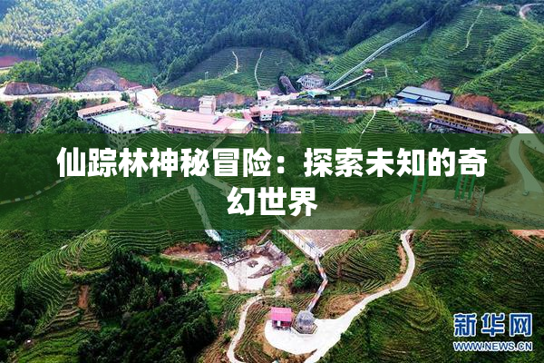 仙踪林神秘冒险：探索未知的奇幻世界