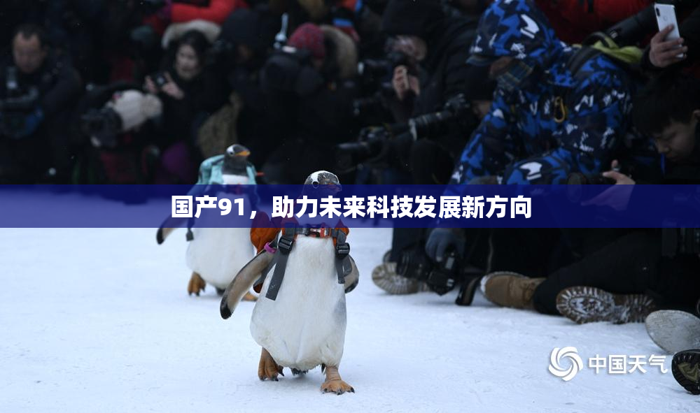 国产91，助力未来科技发展新方向