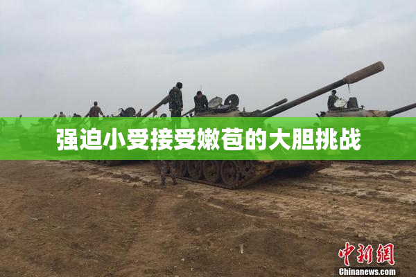 强迫小受接受嫩苞的大胆挑战