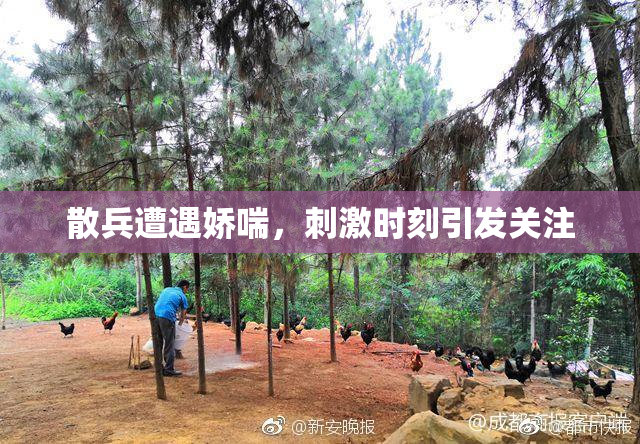 散兵遭遇娇喘，刺激时刻引发关注