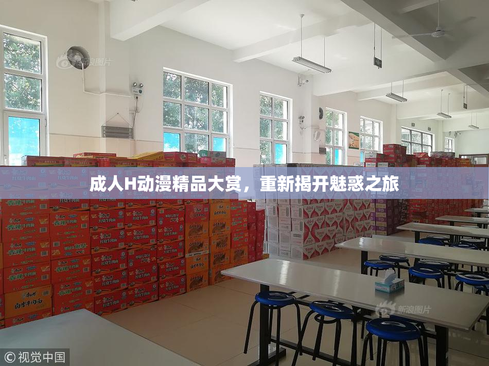 成人H动漫精品大赏，重新揭开魅惑之旅