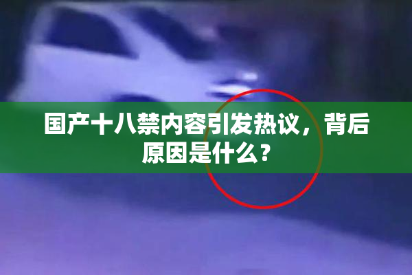 国产十八禁内容引发热议，背后原因是什么？