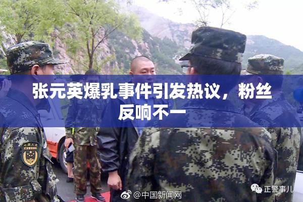 张元英爆乳事件引发热议，粉丝反响不一