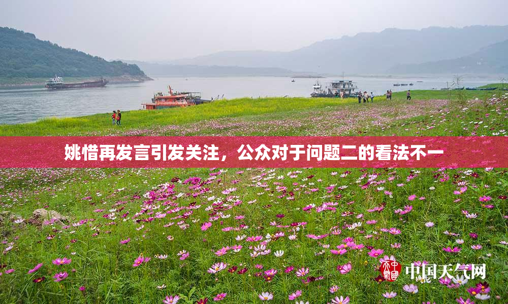 姚惜再发言引发关注，公众对于问题二的看法不一