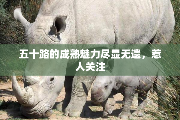 五十路的成熟魅力尽显无遗，惹人关注