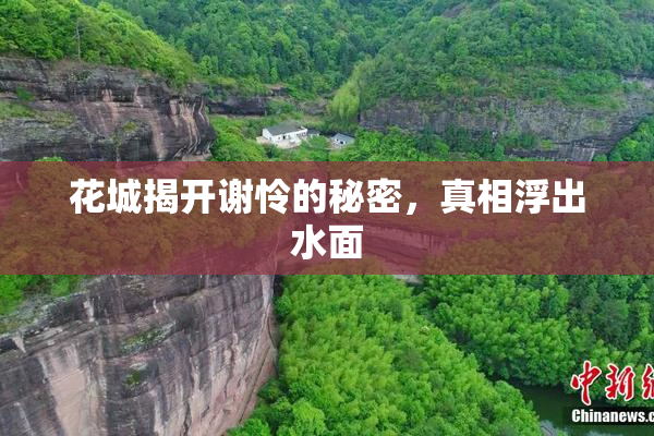 花城揭开谢怜的秘密，真相浮出水面
