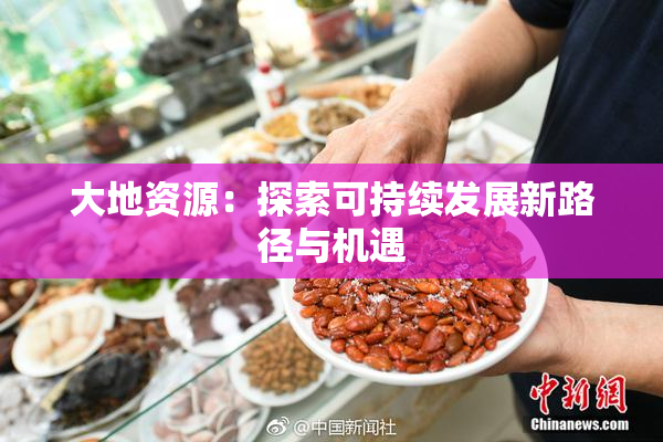 大地资源：探索可持续发展新路径与机遇