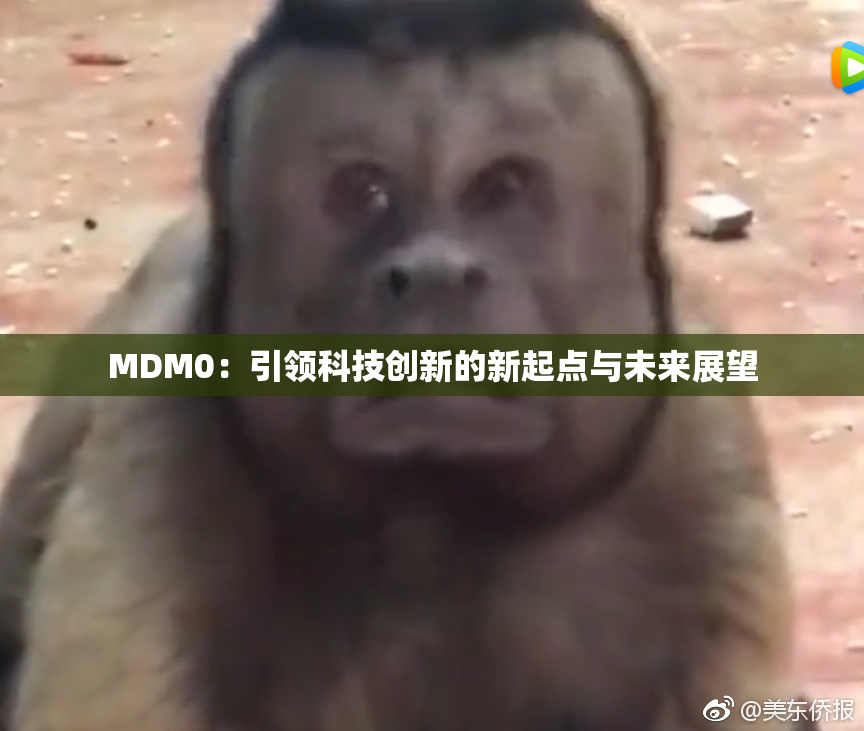MDM0：引领科技创新的新起点与未来展望