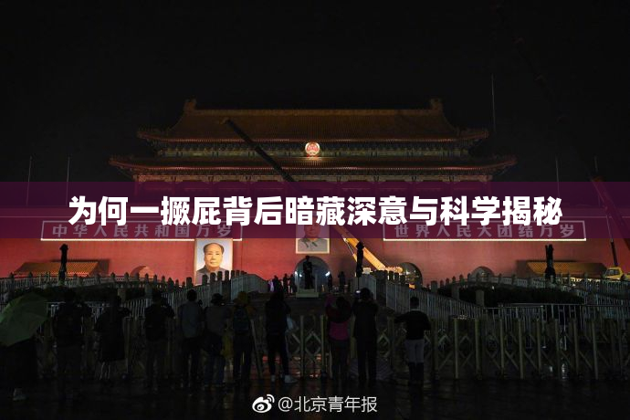 为何一撅屁背后暗藏深意与科学揭秘