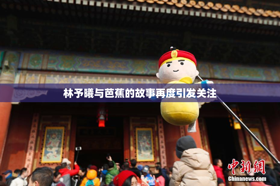 林予曦与芭蕉的故事再度引发关注