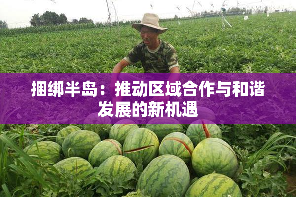 捆绑半岛：推动区域合作与和谐发展的新机遇