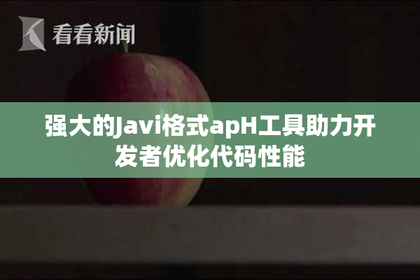 强大的Javi格式apH工具助力开发者优化代码性能