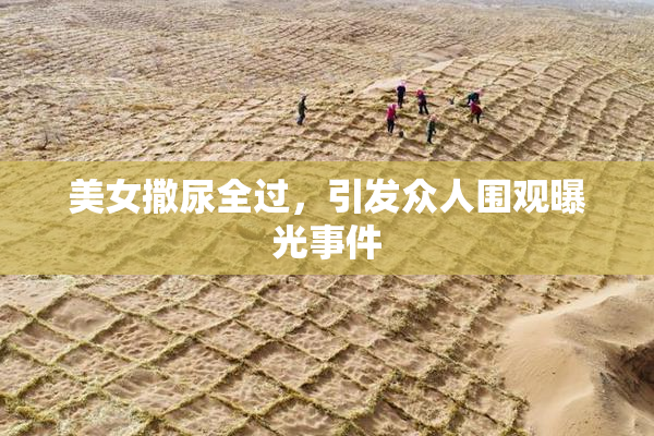 美女撒尿全过，引发众人围观曝光事件
