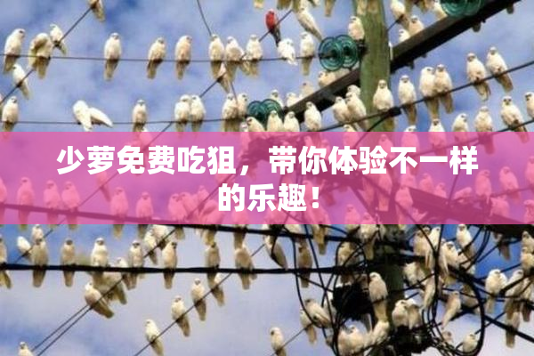 少萝免费吃狙，带你体验不一样的乐趣！