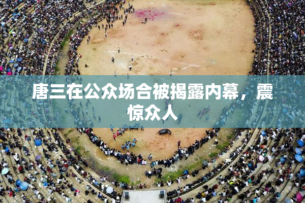 唐三在公众场合被揭露内幕，震惊众人