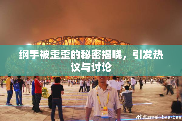 纲手被歪歪的秘密揭晓，引发热议与讨论