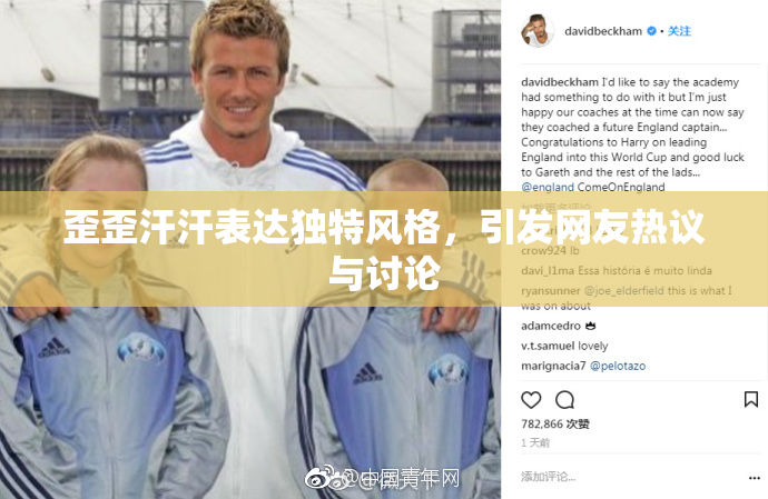 歪歪汗汗表达独特风格，引发网友热议与讨论