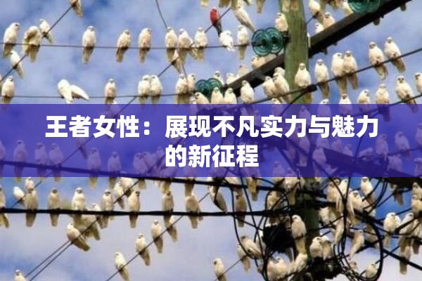 王者女性：展现不凡实力与魅力的新征程