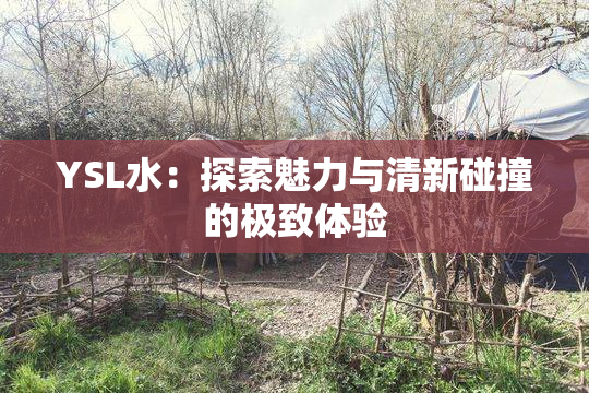 YSL水：探索魅力与清新碰撞的极致体验