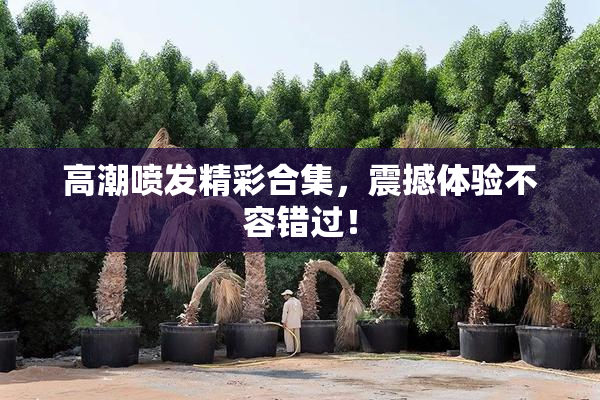 高潮喷发精彩合集，震撼体验不容错过！