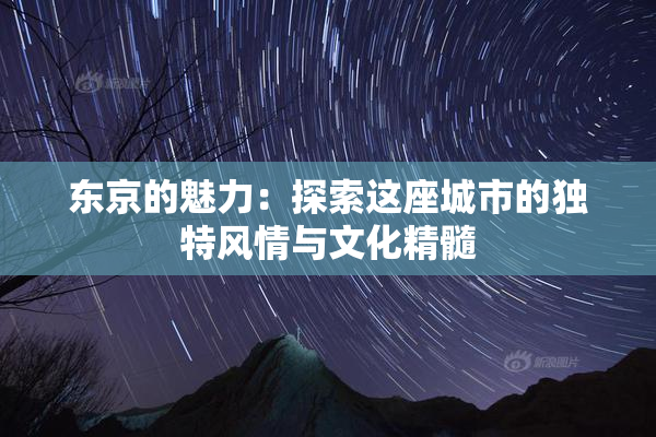 东京的魅力：探索这座城市的独特风情与文化精髓