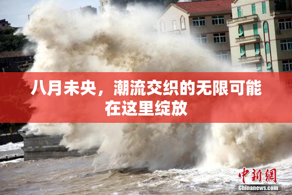 八月未央，潮流交织的无限可能在这里绽放