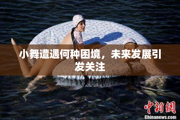 小舞遭遇何种困境，未来发展引发关注