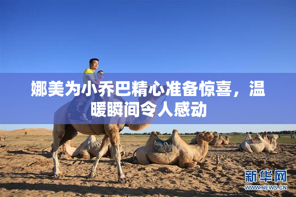 娜美为小乔巴精心准备惊喜，温暖瞬间令人感动
