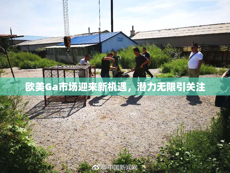 欧美Ga市场迎来新机遇，潜力无限引关注