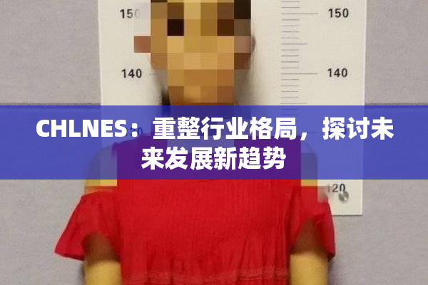 CHLNES：重整行业格局，探讨未来发展新趋势