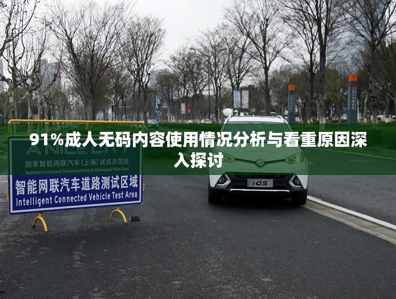 91%成人无码内容使用情况分析与看重原因深入探讨