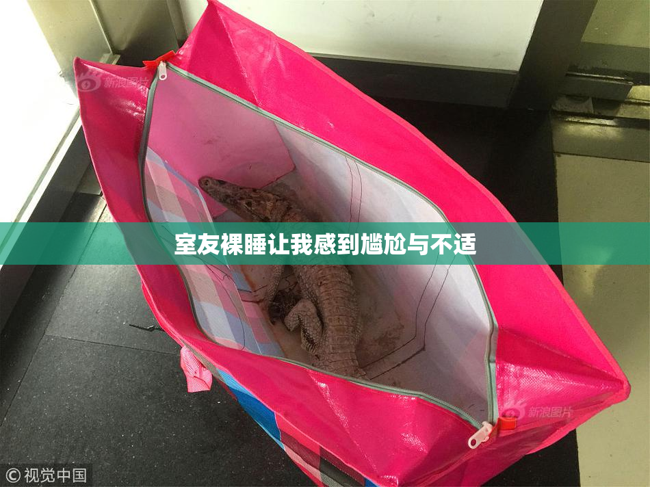 室友裸睡让我感到尴尬与不适