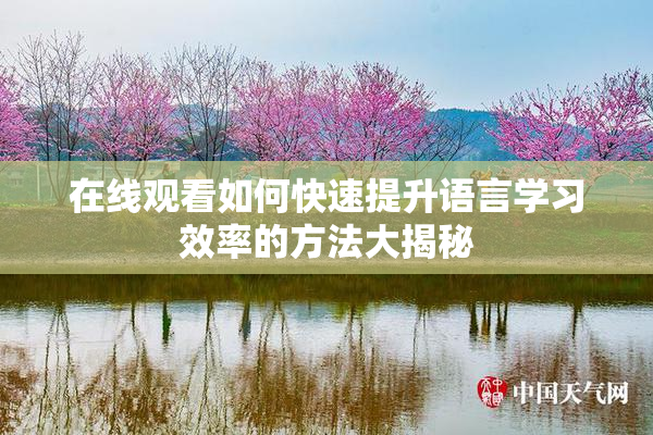 在线观看如何快速提升语言学习效率的方法大揭秘
