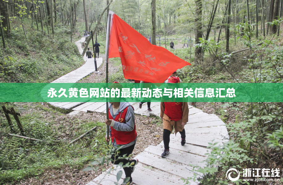 永久黄色网站的最新动态与相关信息汇总