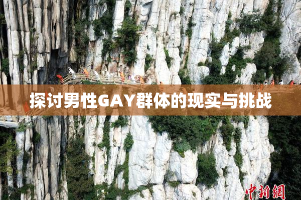探讨男性GAY群体的现实与挑战